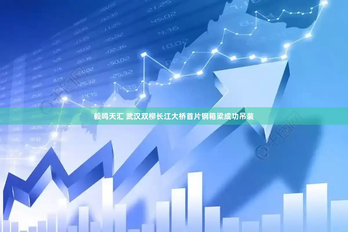 毅鸣天汇 武汉双柳长江大桥首片钢箱梁成功吊装