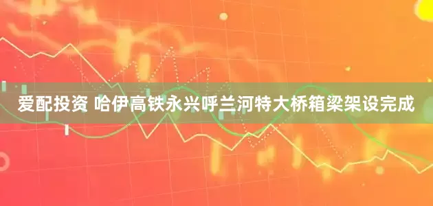 爱配投资 哈伊高铁永兴呼兰河特大桥箱梁架设完成