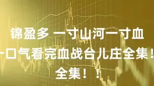 锦盈多 一寸山河一寸血 一口气看完血战台儿庄全集！！