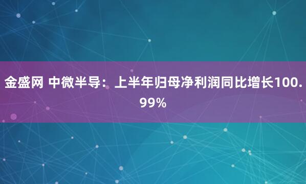 金盛网 中微半导：上半年归母净利润同比增长100.99%