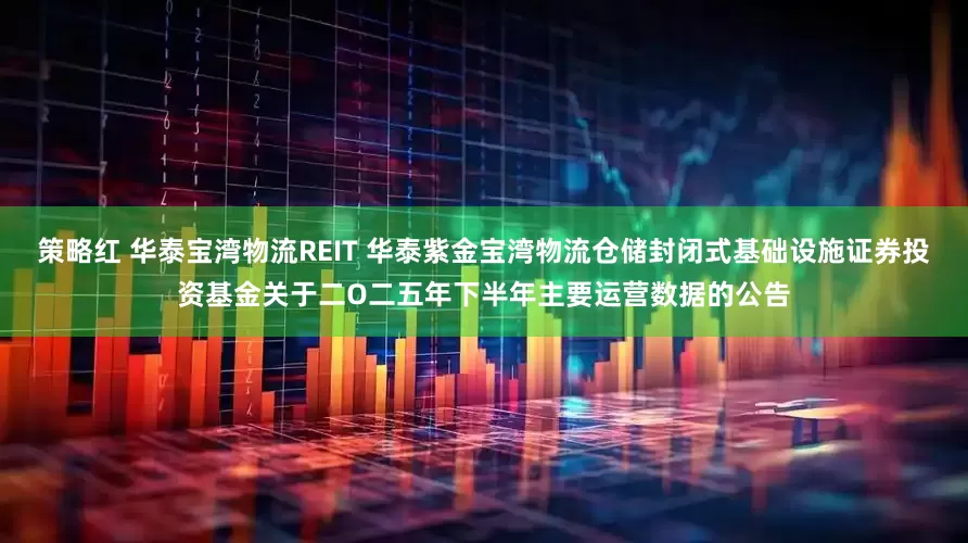 策略红 华泰宝湾物流REIT 华泰紫金宝湾物流仓储封闭式基础设施证券投资基金关于二O二五年下半年主要运营数据的公告