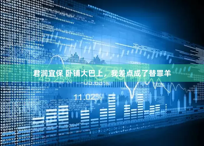 君润宜保 卧铺大巴上，我差点成了替罪羊